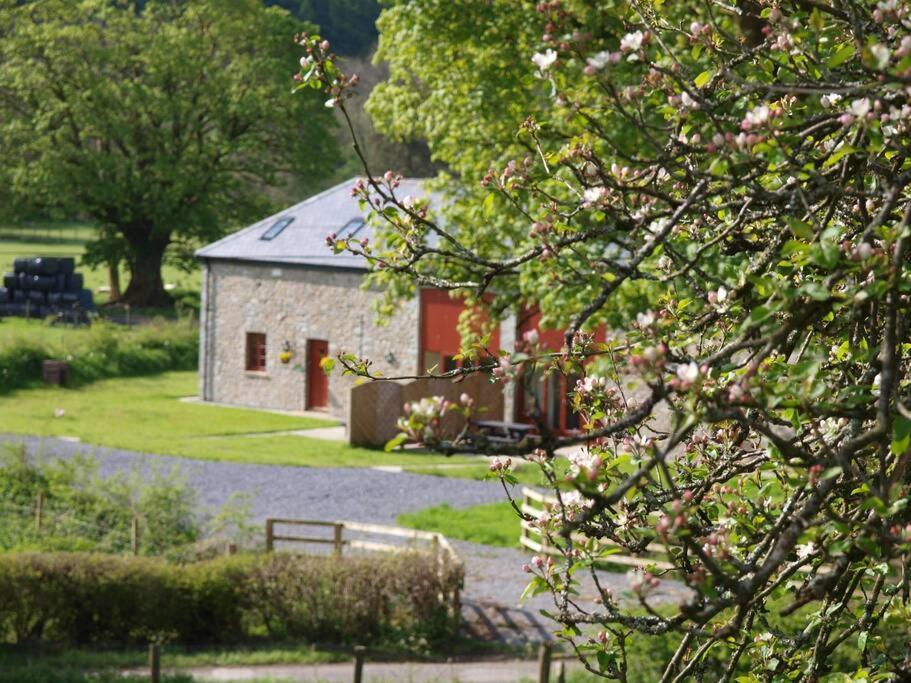 Peregrine Stable Cottage ランダバリー エクステリア 写真